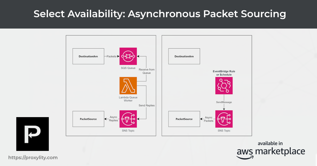 Diagram showing packet sourcing outside a request path